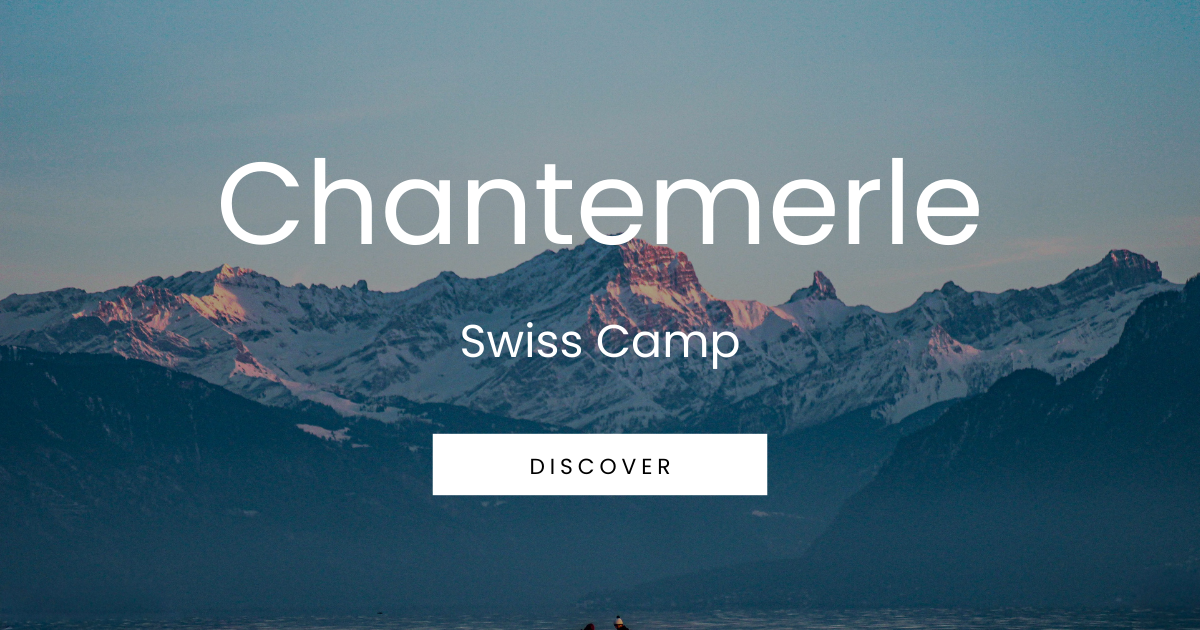 Chantemerle International Summer Camp — Blonay (Swiss Riviera) — photo